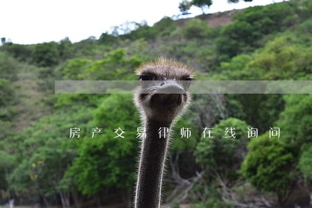 房产交易律师在线询问 房产交易律师在线询问