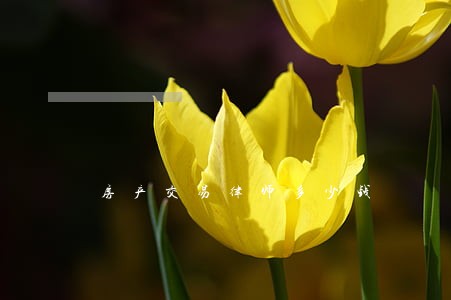 房产交易律师多少钱 房产交易律师多少钱