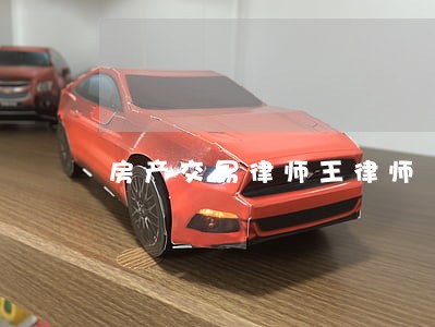 房产交易律师王律师 房产交易律师王律师