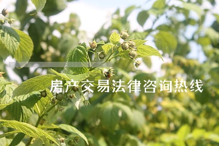 房产交易法律咨询热线 房产交易法律咨询热线