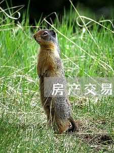 房产交易逾期超过15日怎么解读 房产交易逾期超过15日怎么解读