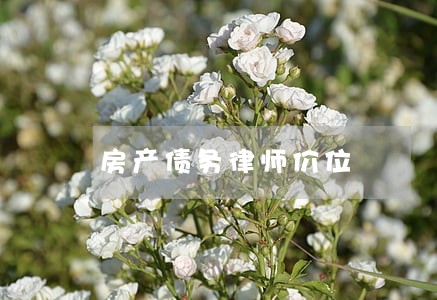 房产债务律师价位 房产债务律师价位