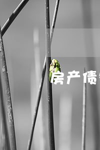 房产债务律师咨询 房产债务律师咨询