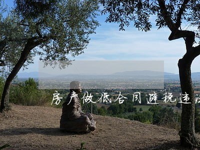 房产做低合同避税违法 房产做低合同避税违法