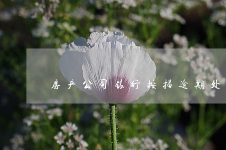 房产公司银行按揭逾期处罚 房产公司银行按揭逾期处罚