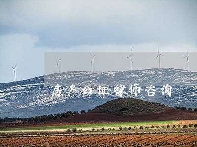 房产公证律师咨询 房产公证律师咨询