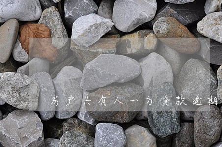 房产共有人一方贷款逾期 房产共有人一方贷款逾期