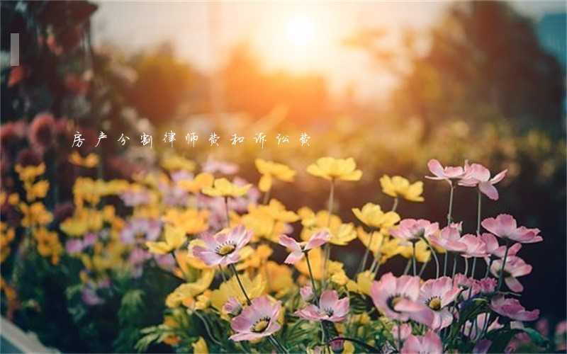 房产分割律师费和诉讼费 房产分割律师费和诉讼费