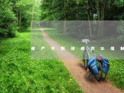房产分割法院可以强制竞价么 房产分割法院可以强制竞价么