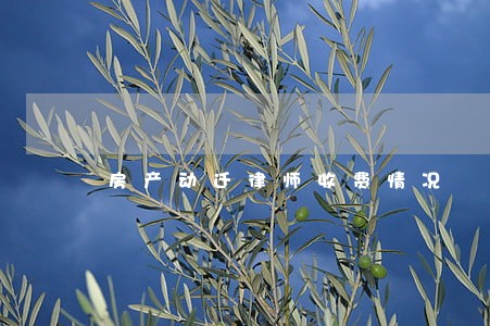 房产动迁律师收费情况 房产动迁律师收费情况