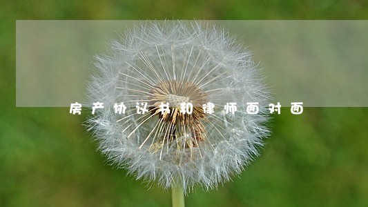 房产协议书和律师面对面 房产协议书和律师面对面