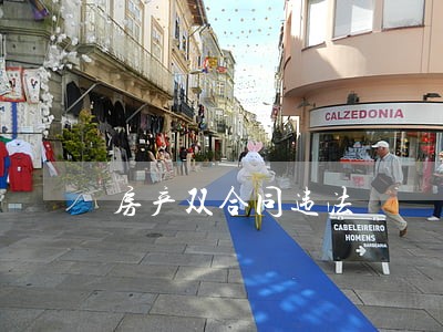 房产双合同违法
