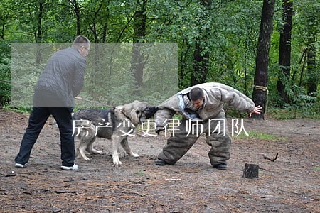 房产变更律师团队 房产变更律师团队