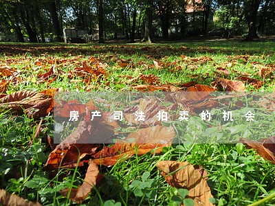 房产司法拍卖的机会 房产司法拍卖的机会