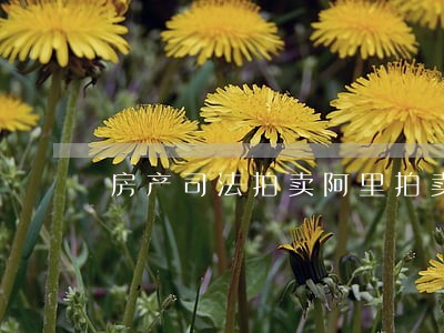 房产司法拍卖阿里拍卖 房产司法拍卖阿里拍卖