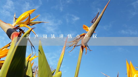房产司法评估小产权 房产司法评估小产权