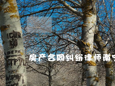 房产合同纠纷律师南宁 房产合同纠纷律师南宁