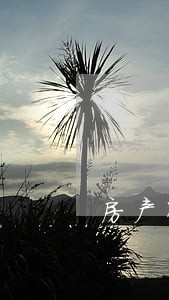 房产咨询律师需要多少钱 房产咨询律师需要多少钱