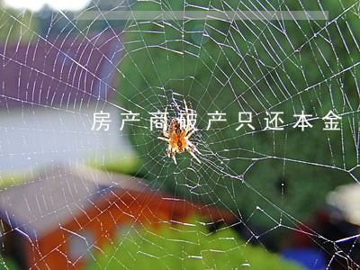 房产商破产只还本金