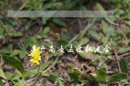 房产商违法收取定金 房产商违法收取定金