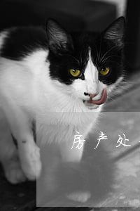 房产处分权的法律条文