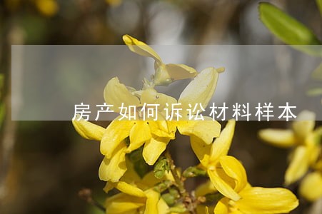 房产如何诉讼材料样本