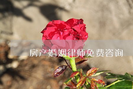 房产婚姻律师免费咨询