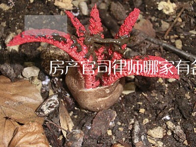 房产官司律师哪家有名 房产官司律师哪家有名