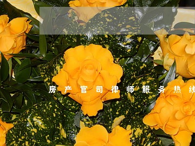 房产官司律师服务热线 房产官司律师服务热线