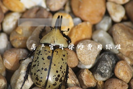 房产官司律师费用标准