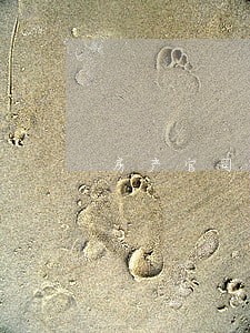 房产官司律师起诉流程 房产官司律师起诉流程