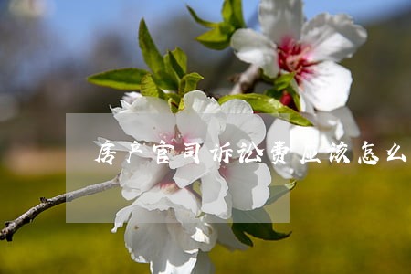 房产官司诉讼费应该怎么样收 房产官司诉讼费应该怎么样收