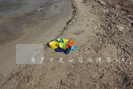 房产开发公司法律顾问
