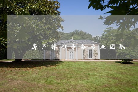 房产律师事务专业团队 房产律师事务专业团队