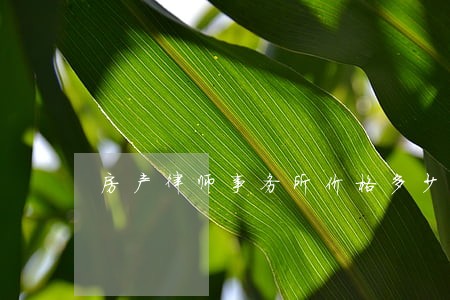 房产律师事务所价格多少 房产律师事务所价格多少
