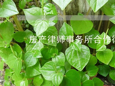 房产律师事务所合作律师 房产律师事务所合作律师
