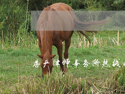 房产律师事务所热线电话 房产律师事务所热线电话