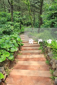 房产律师事务所选择哪家 房产律师事务所选择哪家