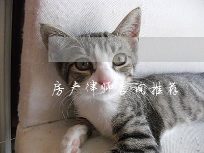 房产律师咨询推荐 房产律师咨询推荐