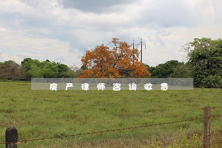 房产律师咨询收费 房产律师咨询收费