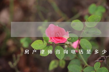 房产律师咨询电话是多少 房产律师咨询电话是多少