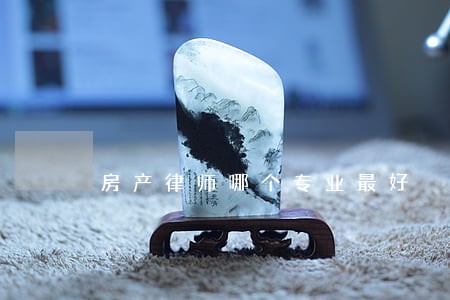 房产律师哪个专业最好 房产律师哪个专业最好