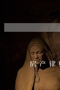 房产律师审查义务 房产律师审查义务