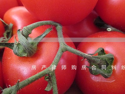 房产律师购房合同纠纷