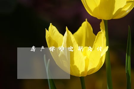 房产律师逾期交付 房产律师逾期交付