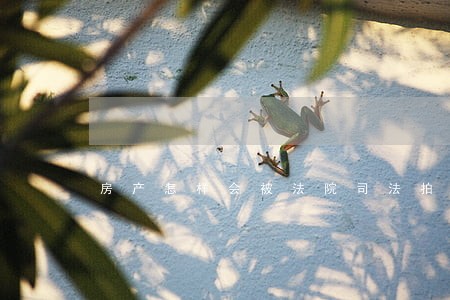 房产怎样会被法院司法拍卖