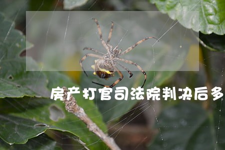 房产打官司法院判决后多久可执行
