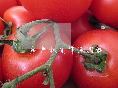 房产抵债律师调解 房产抵债律师调解