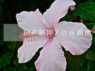 房产抵押70w逾期一年 房产抵押70w逾期一年