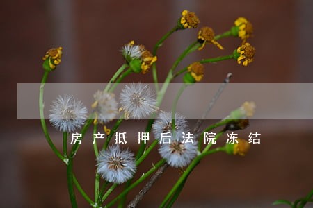房产抵押后法院冻结